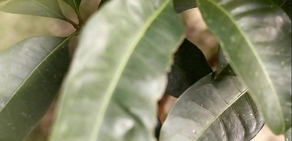  Pérola  Martinez em EVA NO PARAISO - videoclipe do ensaio fotográfico